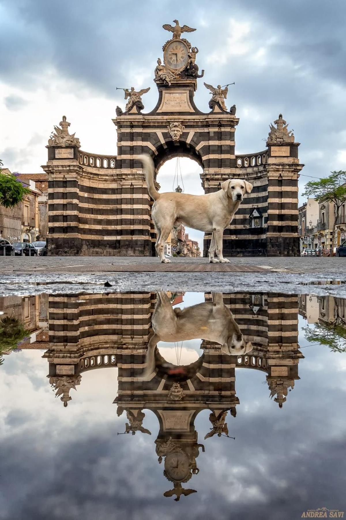 Вілла Garibaldi 94- Intera Casa A 2 Passi Dal Duomo Катанія Екстер'єр фото